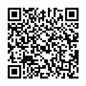 一只涂装着蓝色野猪图案的大型硬式飞艇开始缓缓升空二维码生成