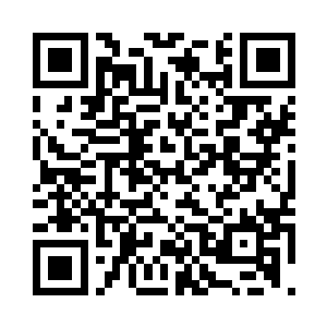 一只熊掌几个人吃的快撑了都没吃完二维码生成