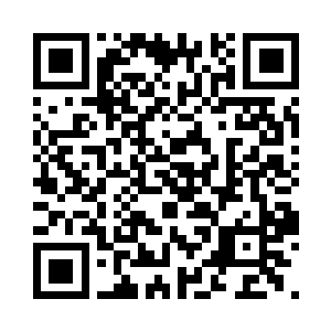 一只蒙着眼被放在的汽车后座上的猎鹰二维码生成