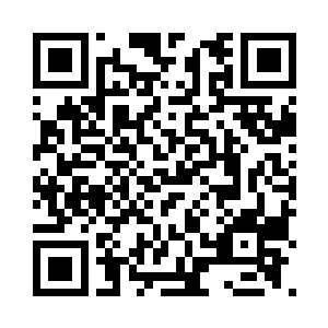 一只虫最多只能上两天解剖课就分崩离析了二维码生成