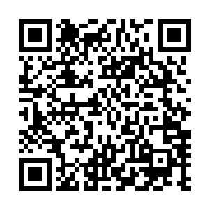 一只黑色的小甲虫无声无息的飞到了彻底大乱的格列卫城中二维码生成