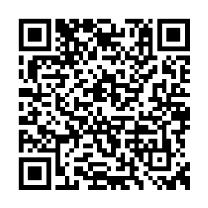 一号区域此刻已经被大片大片的蓝色植物所覆盖二维码生成