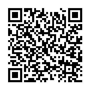 一号首长和二号首长肯定被他当做人质秘密带走了二维码生成