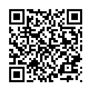 一名修真者单膝跪在姜世离的面前二维码生成