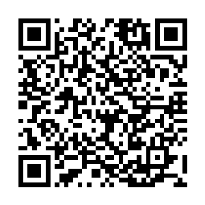 一名同样负责后院整洁的家丁正好一眼看到到来的尹隻二维码生成