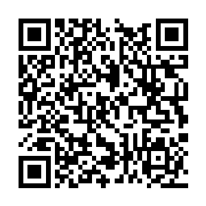 一名天空圣师还未从圣兵被毁的震惊中回过神来时二维码生成