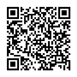 一名头发花白的老年科学家早就领着一队人等待多时了二维码生成