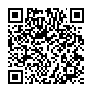一名实力达到主神的老祖维纳炎和一名人神后期的家主维纳野二维码生成
