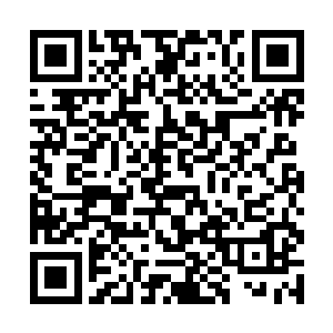 一名年约四十左右的有角护卫对拦阻的众人摇了摇头二维码生成