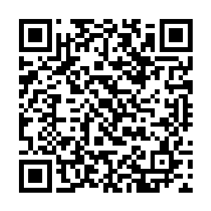 一名盘古族测试者在面对爬行类还是哺乳类的选择时二维码生成