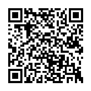 一名眉心浮现二品红莲的修士盯着他吐出两个字二维码生成