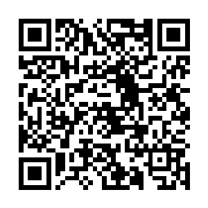 一向含蓄的许维钧当着众多人的面大力揽着陈珂的肩膀二维码生成