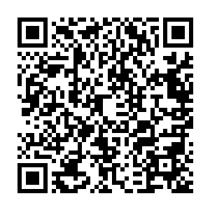 一向都习惯了在老怪物面前没大没小的柳逸尘没办法继续这个话题二维码生成
