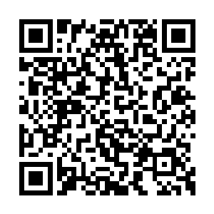 一场谈判也就演变成了关于投资热电厂的研讨会二维码生成
