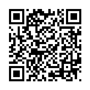 一块不高的山崖下有一小片平整的坡地二维码生成