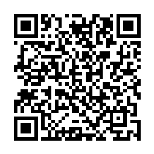 一声不响得配合着这些老头有条不紊得处理这眼前的海兽二维码生成