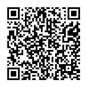 一声又一声的锋利如同钢针一般的长发狠狠地刺进了猪不能的身上二维码生成