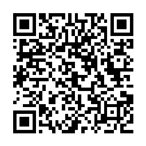 一声声如同魔音灌耳一样让巴克觉得自己的胸腔都快要炸开来二维码生成