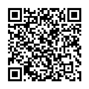 一声更加冰冷的厉喝却忽然再度从九头圣王体内传出二维码生成