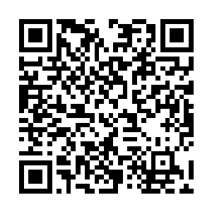 一声白衣的柳贵妃扶着一个宫女的手从轿子里走了出来二维码生成