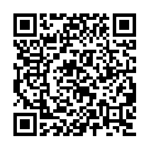一声震人心魄的龙吟声也从龙魂枪上面散发出来二维码生成