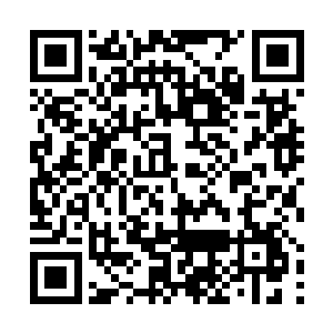 一处废墟顶上的梁笑白也扣动了国产m69狙击步枪的扳机二维码生成