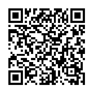 一大片刚刚倒地的躯体跟四处流散的热流液体都连成片了二维码生成