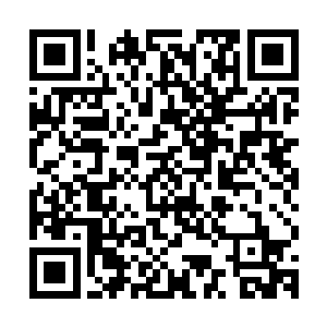 一大群的巴勒莫球迷也在冲着高扬他们又喊又叫的同时大力招手二维码生成