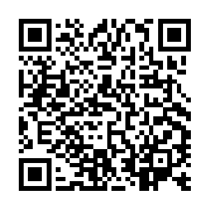 一天一夜的不停厮杀让这些修士体内的元力消耗得七七八八二维码生成