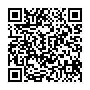 一天24小时学习着各个民族不同的战士的战斗数据二维码生成