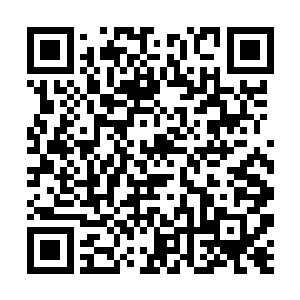 一头又一头八阶变异兽从那山壁之中疯狂的飞了出来二维码生成