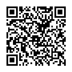 一头可怕的黑色巨熊模糊相势顿是从董旻背后显现而出二维码生成