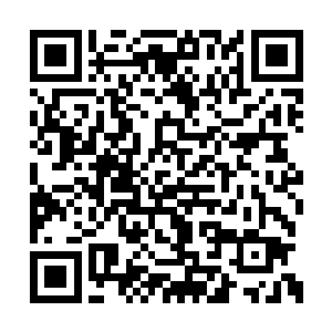 一头红色的地行龙正在忠实地坚守着自己的岗位二维码生成