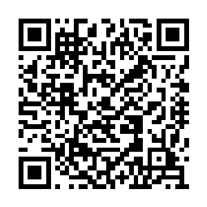 一头褐色皮毛的鼠妖将本以为能躲开天空的箭矢二维码生成