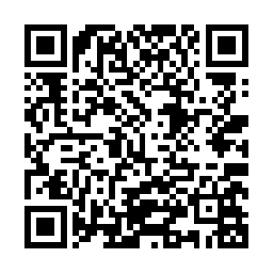 一定会让你们部落在夏季来临前全部变成我土城最低贱的奴隶二维码生成