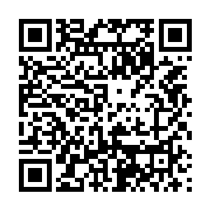 一定很痛吧……当池婉婉的那把刀插进他的胸膛的时候二维码生成