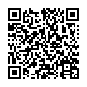 一定是做好了万全准备的……我不禁有些小小的害怕二维码生成