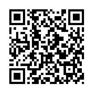 一定是要同孤家主一同出来迎接紫晴他们的二维码生成