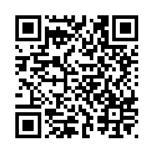 一定是这个胖子瞎猫碰到了死老鼠二维码生成