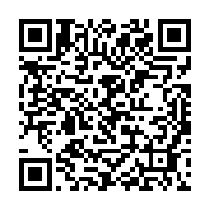 一定有着提前躲进山洞内的修士没有被飞行水蛭发现二维码生成
