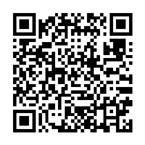 一定能看出我们的这位郑局长刚刚好像是经历了一次二维码生成