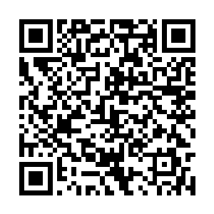 一定要高薪正儿八经地从工匠之塔挖几个墙角过来二维码生成