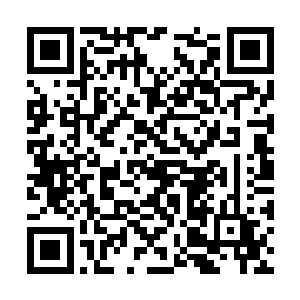 一家大小上百号人就被关进了京城里大理寺的监狱二维码生成