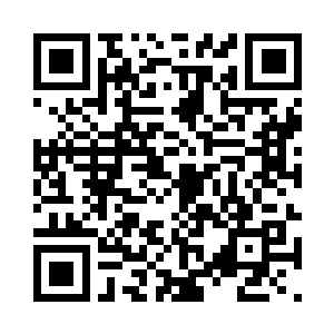 一对白发苍苍的老夫妇看着电脑上了数据变化二维码生成