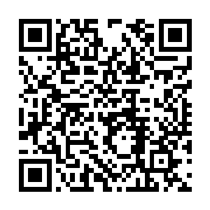 一尊漆黑如墨的大鼎直接从李天一的掌心浮现出来二维码生成