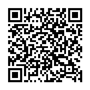 一帮子老爷子老太太和声细语的挑着东西然后和段亮侃着价二维码生成
