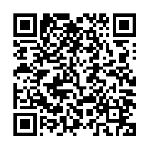 一幅被悬挂在庭院正中央墙壁上的油印画像吸引了杨辰的目光二维码生成