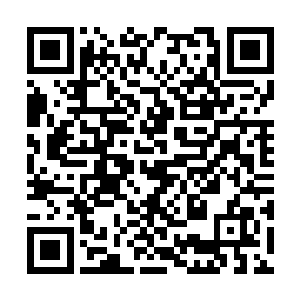 一干回过身来后阻拦不及的宫女太监面面相觑一眼二维码生成