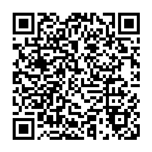 一干骑士彻底被这短短时间内发生的一连串诡异和莫名其妙的事情弄晕了二维码生成