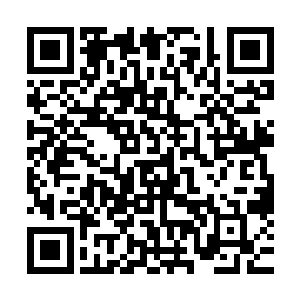 一年为了追求一女子脆在地上打滚求他老子把他送进星尘艺院二维码生成